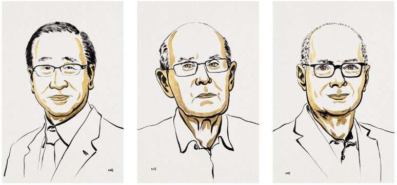 Susumu Kitagawa, Richard Robson e Omar M. Yaghi foram os ganhadores do prêmio este ano