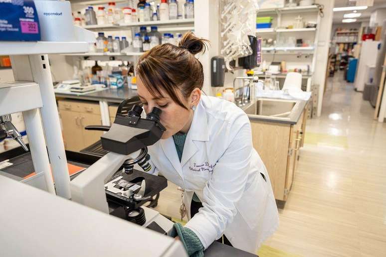 Várias descobertas do estudo foram obtidas em nível microscópico