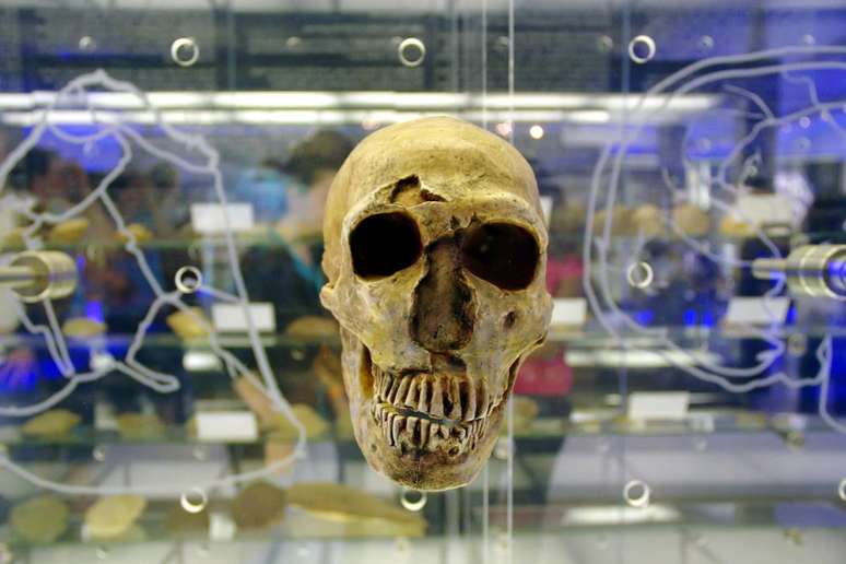 The Cradle of Humankind can be visited in South Africa