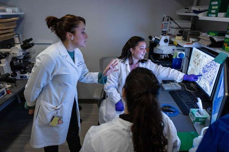Tamar Gefen (à esquerda) e membros da equipe observam imagens de neurônios