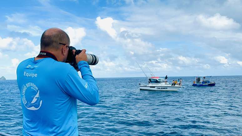 Especialistas observam os golfinhos de pontos estratégicos de Noronha