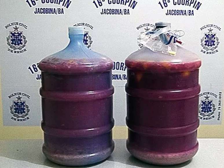 Polícia da Jacobina (BA) apreende 40 litros de cascas de frutas, água e outros ingredientes fermentando para produzir Maria Louca. 