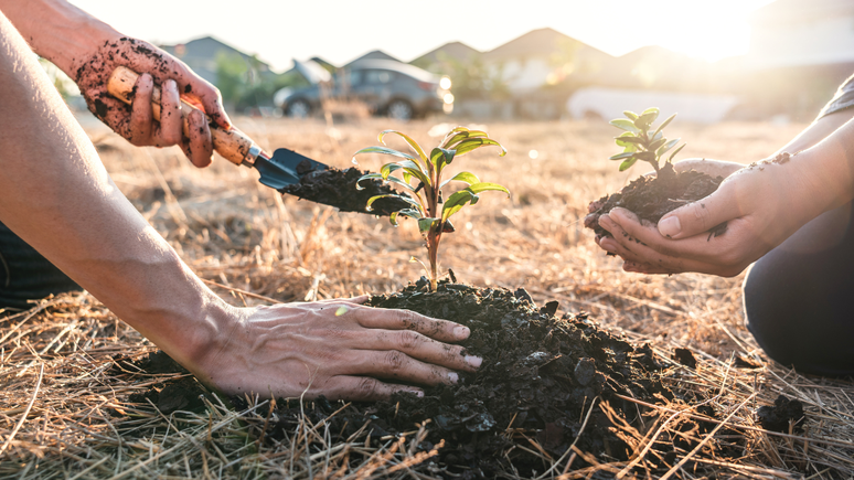 The sustainable project promotes agricultural production and reforestation of burned areas