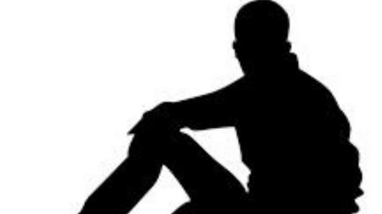 Modelo (Reprodu&ccedil;&atilde;o/Divulga&ccedil;&atilde;o)