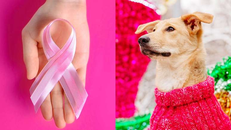 Pink October: Understanding how breast cancer affects pets too