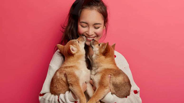 Você sabe qual é a personalidade do seu pet de acordo com seu signo astrológico? Descubra agora!