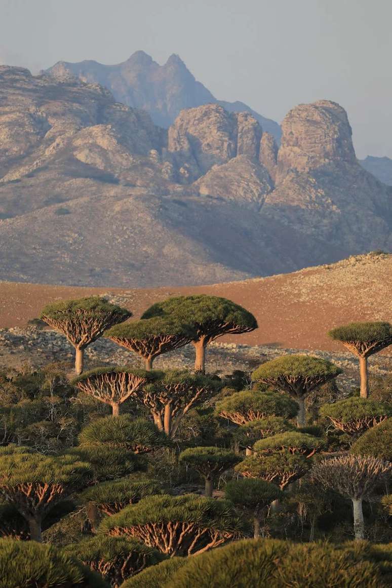 Vista de Socotra 