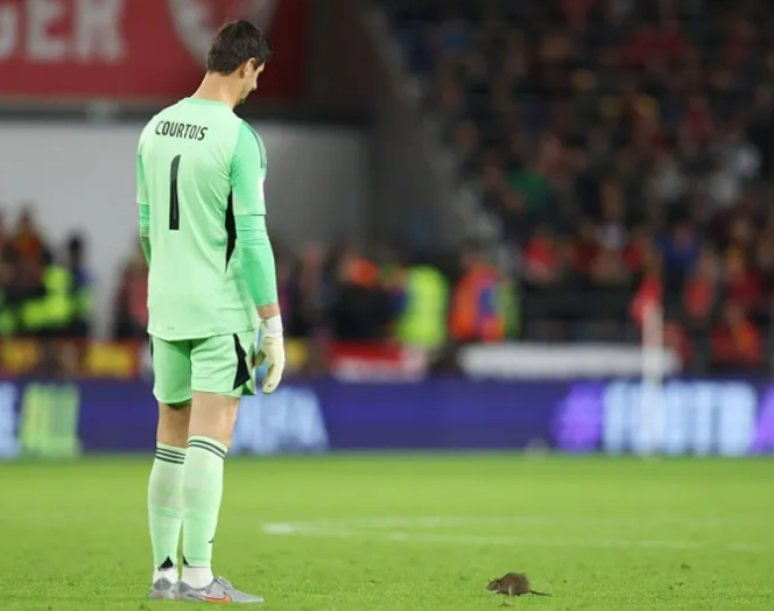 Courtois observando o rato que invadiu o gramado