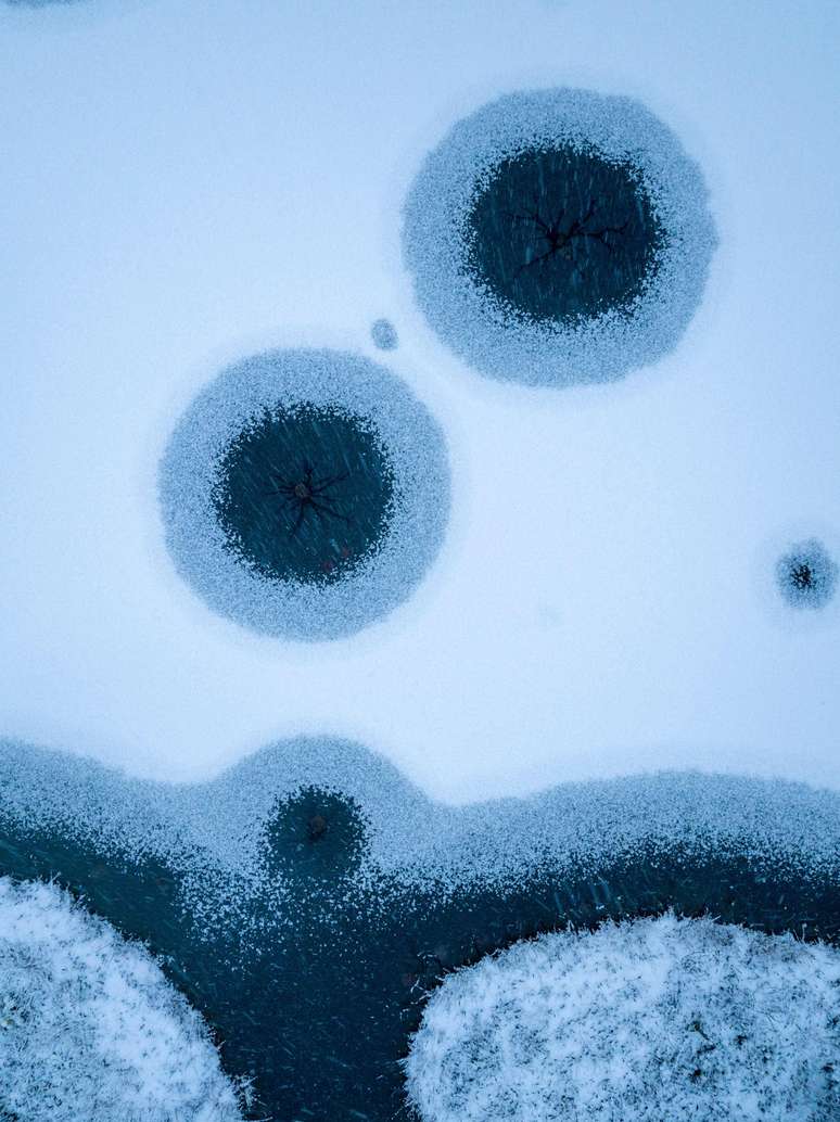 Local: R&uacute;ssia