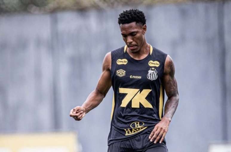 Luisão ainda não teve oportunidades com Vojvoda –