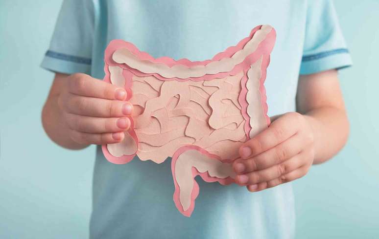 O microbioma intestinal de cada pessoa &eacute; &uacute;nico. Helena Nechaeva/Shutterstock.com