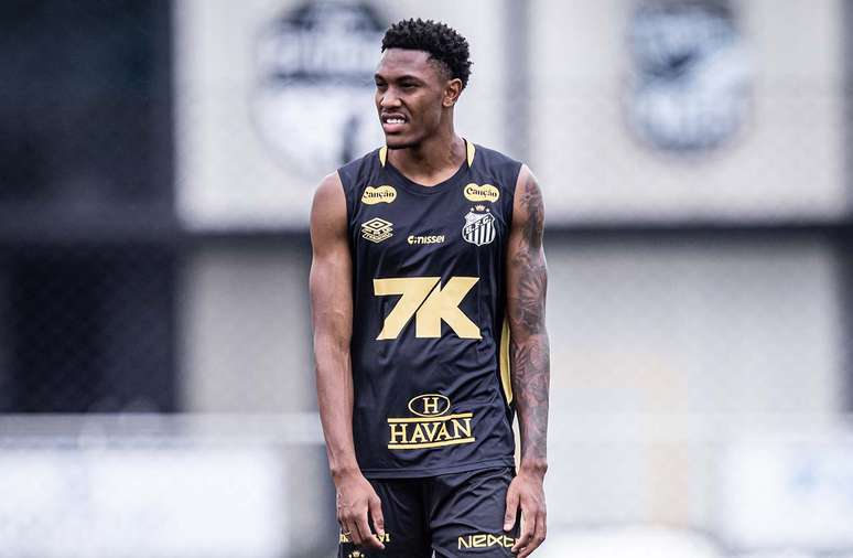 Luisão ainda não teve oportunidades com Vojvoda –