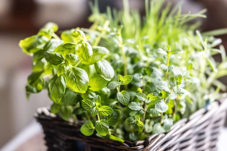 SimpleImages/GettyImages