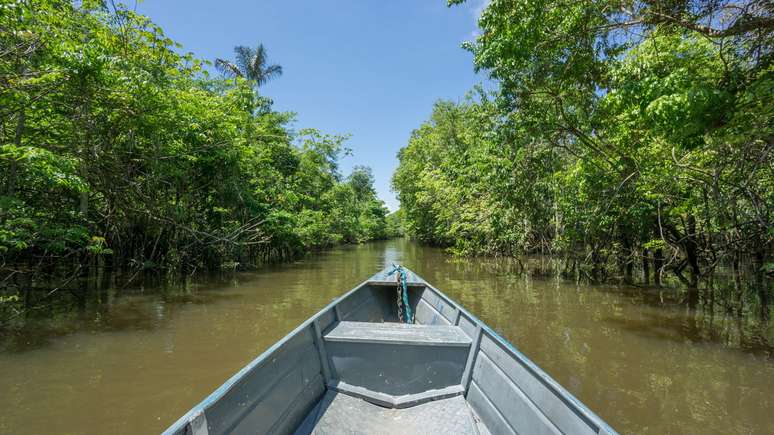 Rio Negro: the Amazonian treasure that enchants tourists Rio Negro: the Amazonian treasure that enchants tourists