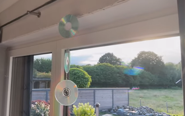 Why do some people hang CDs on windows and balconies? It is not a decoration; Know Why do some people hang CDs on windows and balconies? It is not a decoration; Know