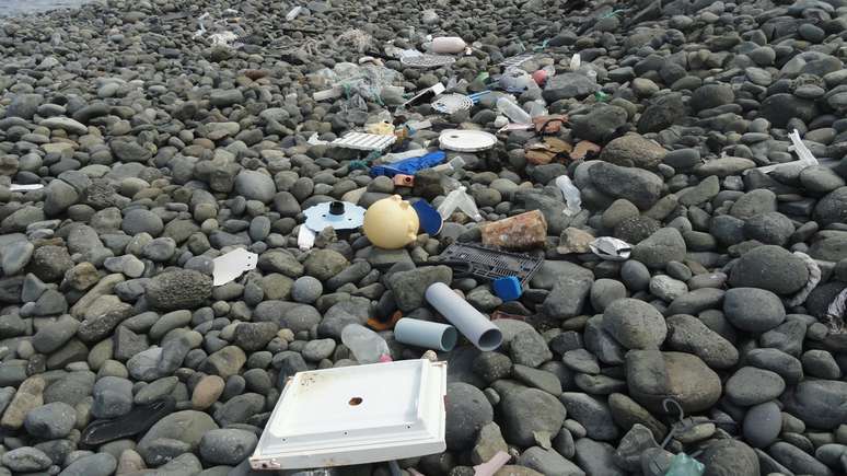 Fernanda destacou que o cenário do lixo encontrado na Ilha da Trindade mostra que o mundo vive uma crise do lixo plástico