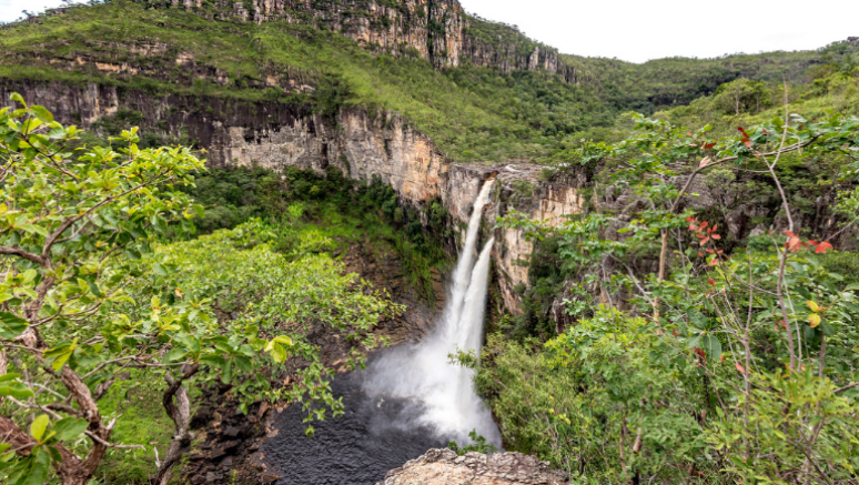 Parque Nacional das Emas possui área de 132 mil hectares de Cerrado, distribuída pelos municípios de Chapadão do Céu (GO), Mineiros (GO), Serranópolis (GO) e Costa Rica (MS)