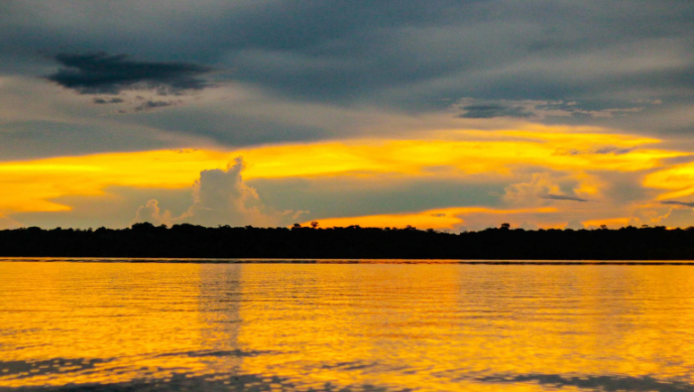 O local protege as principais espécies ameaçadas, incluindo o pirarucu gigante, o peixe-boi da Amazônia, o jacaré-preto e duas espécies de botos