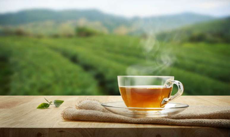 Does tea make you lose weight? The doctor explains what really works