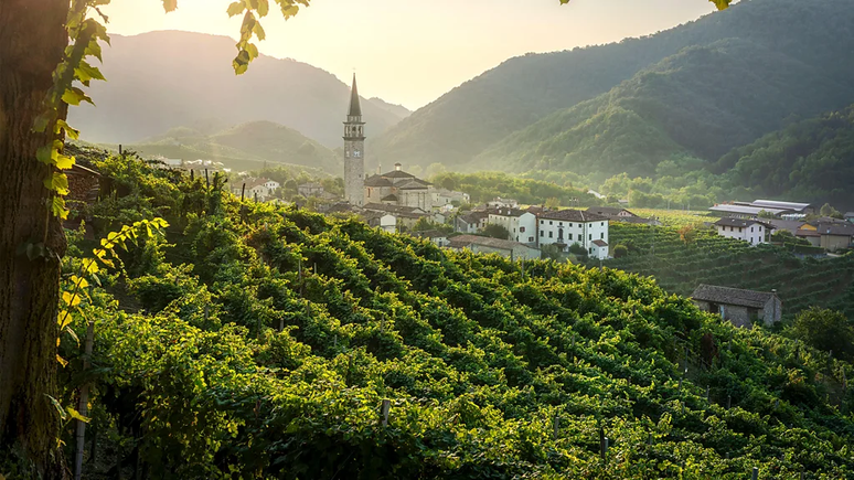 In the Prosecco Hills, producers are adopting sustainable practices in response to climate change In the Prosecco Hills, producers are adopting sustainable practices in response to climate change
