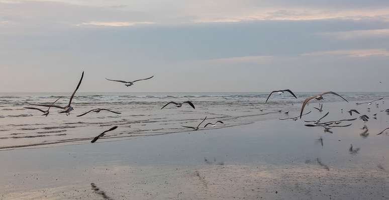 Paisagem do Parque de Do&ntilde;ana &ndash; Wikimedia Commons/Diego Delso