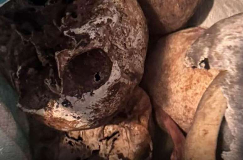 De acordo com a PM, mais de 12 crânios e ossadas foram encontrados no imóvel