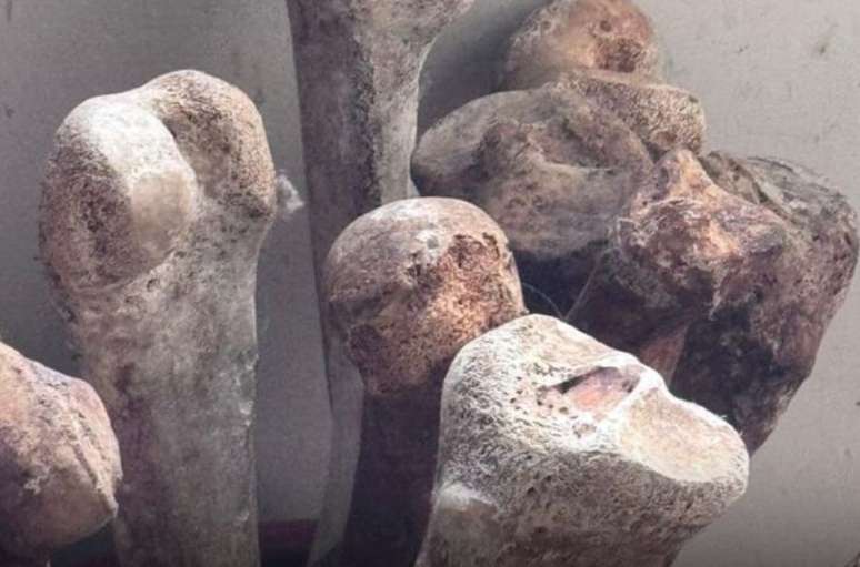 Polícia Civil investigado o caso