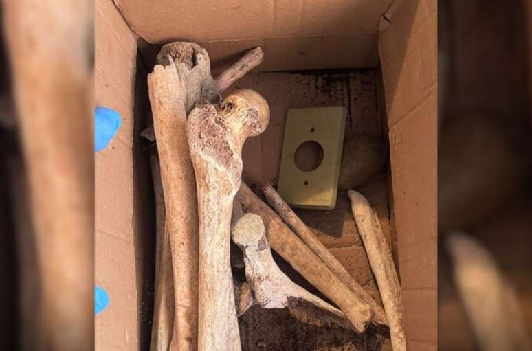 Parente de proprietário de apartamento encontrou ossada no local