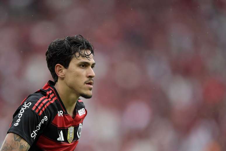 Pedro marca para o Flamengo contra o Palmeiras