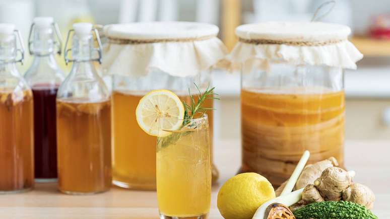 Discover the benefits of kombucha Discover the benefits of kombucha