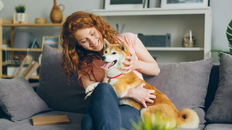 Financial spending on pets is a priority for Brazilians, research says