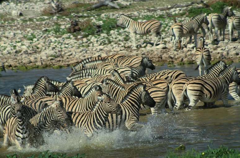 Namibia has one of the largest natural parks in the world