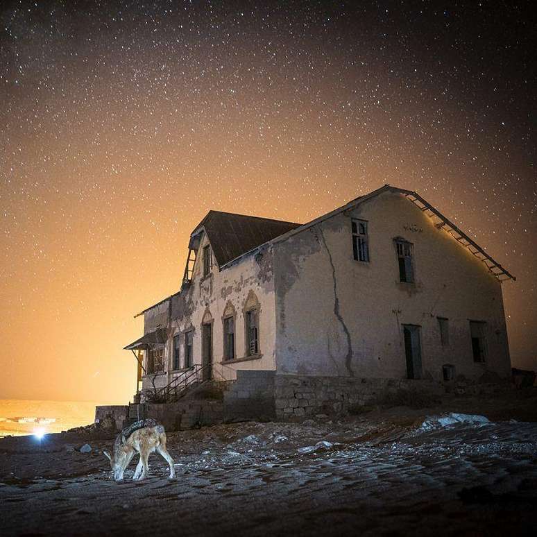 Van den Heever capturou a imagem de outros animais al&eacute;m da hiena-marrom, incluindo um chacal