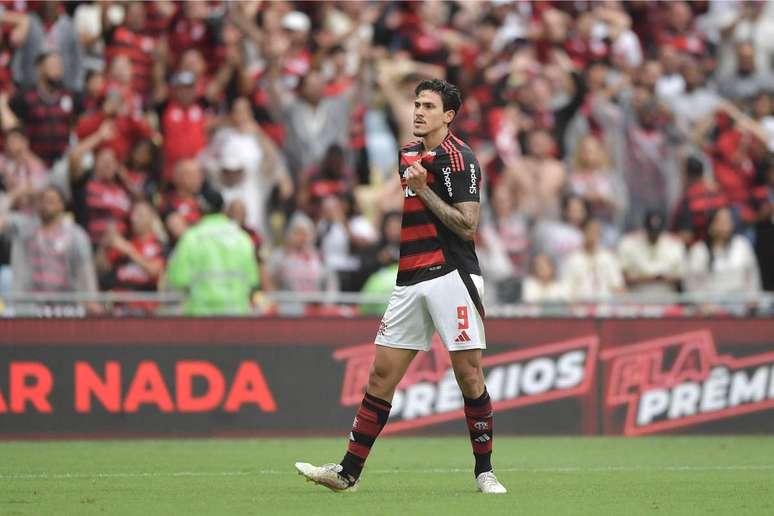 Pedro vem sendo um dos destaques do Flamengo