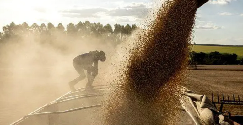Produ&ccedil;&atilde;o de soja cresceu a um ritmo mais r&aacute;pido do que o processamento na &uacute;ltima d&eacute;cada
