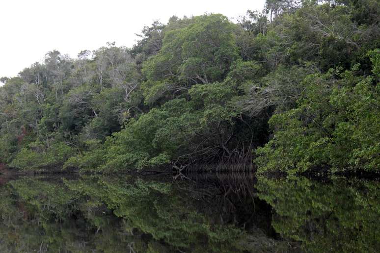 Rio Ca&iacute;, em Prado 