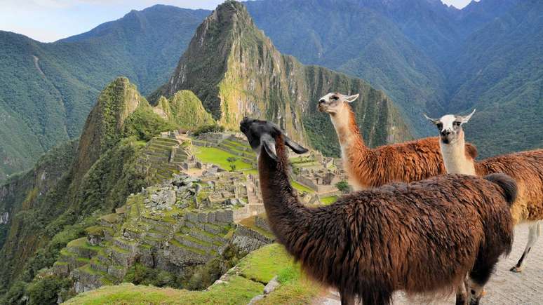 Machu Picchu: How to Plan Your Dream Trip to the Inca Sanctuary