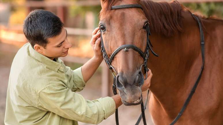 Para a equoterapia, 0 cavalo &eacute; cuidadosamente selecionado, levando em considera&ccedil;&atilde;o fatores como temperamento, tamanho e treinamento, pois o animal desempenha papel central em todo o processo &ndash; depositphotos.com / serezniy