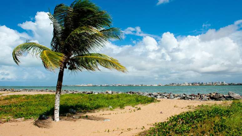 The best tips for visiting the city of Sergipe The best tips for visiting the city of Sergipe