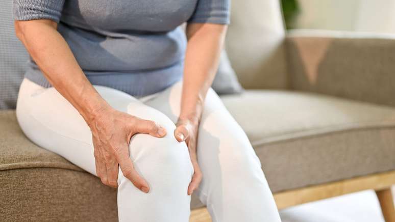 Estudos iniciais apontam que os compostos bioativos presentes na planta podem exercer papel anti-inflamat&oacute;rio, auxiliando no conforto das articula&ccedil;&otilde;es &ndash; depositphotos.com / BongkarnGraphic