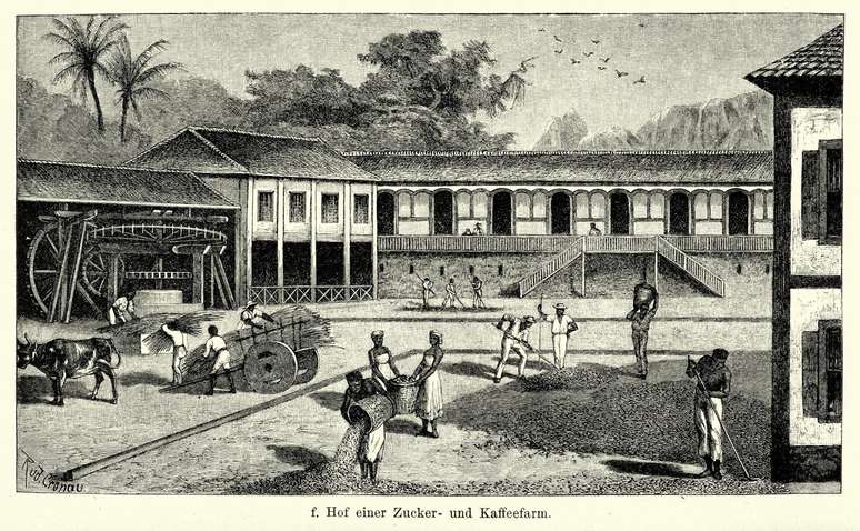 Gravura mostra produ&ccedil;&atilde;o de caf&eacute; e a&ccedil;&uacute;car no Brasil do s&eacute;culo 19; coloniza&ccedil;&atilde;o &eacute; fator destacado por especialistas para explicar por que pa&iacute;ses quentes parecem tender a ser mais pobres