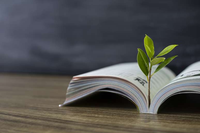 Brasil tem milhares de leis ambientais, algumas delas bem curiosas