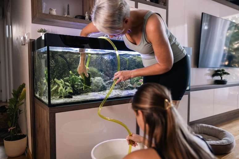 Os tutores precisam ficar atentos com a troca de &aacute;gua do aqu&aacute;rio para manter a disponibilidade de oxig&ecirc;nio 