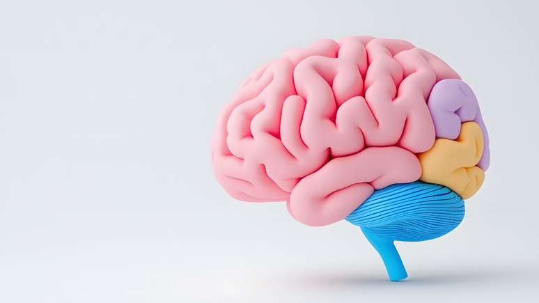 Common habit is one of the main causes of brain aneurysm; understand Common habit is one of the main causes of brain aneurysm; understand