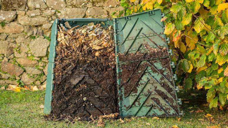 Para criar um minhoc&aacute;rio caseiro eficiente, alguns cuidados b&aacute;sicos s&atilde;o indispens&aacute;veis. O primeiro passo &eacute; selecionar recipientes adequados, que podem ser caixas pl&aacute;sticas empilh&aacute;veis, baldes ou latas &ndash; depositphotos.com / Oscar_MT