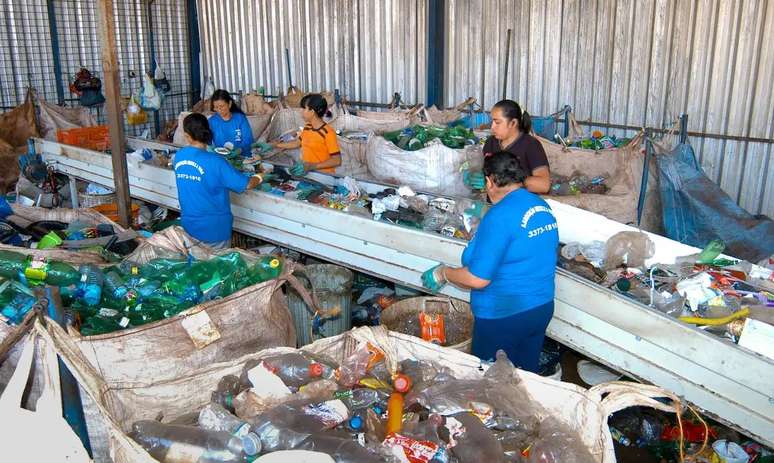 The plastic recycling decree raises the question: will collectors earn more? The plastic recycling decree raises the question: will collectors earn more?