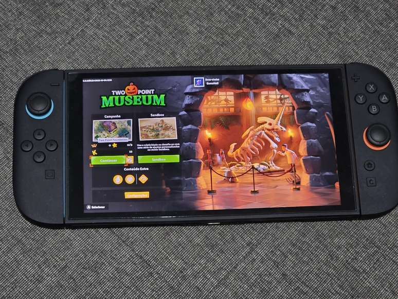 Two Point Museum (Switch)