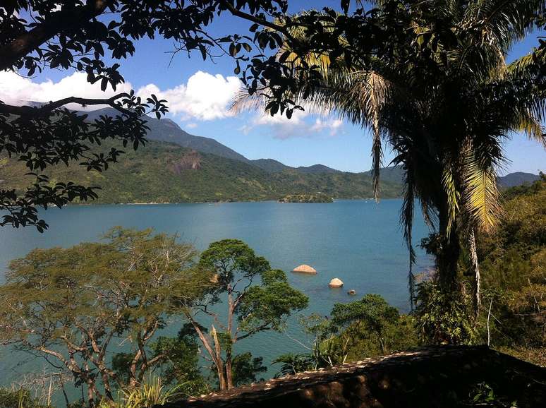 O Saco do Mamangu&aacute; est&aacute; localizado em uma regi&atilde;o remota de Paraty &ndash; Wikimedia Commons/TMbux