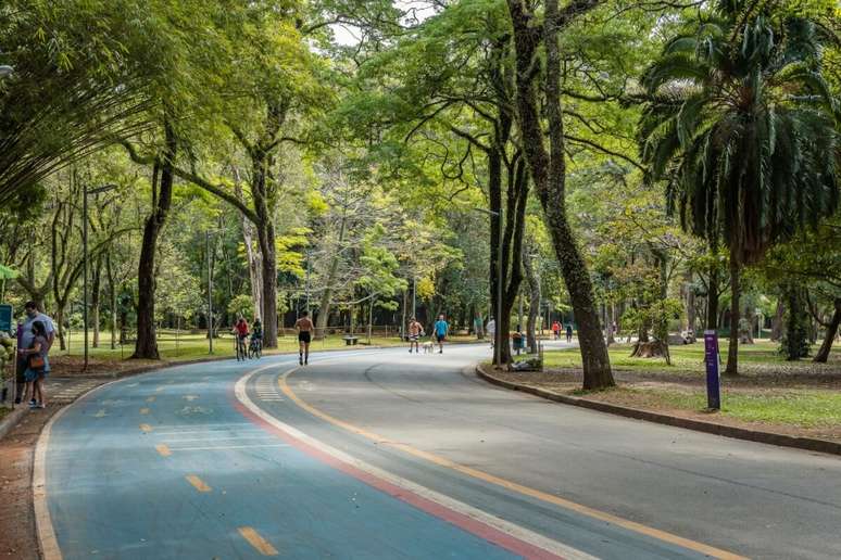 No Parque Ibirapuera, &eacute; poss&iacute;vel pedalar em meio ao verde e contemplar a natureza 