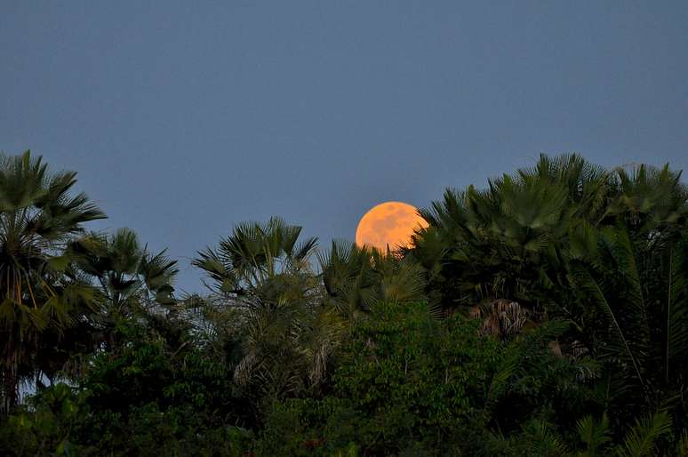 Luar no Carnaubal, Delta Do Parna&iacute;ba, PI &ndash; Wikimedia Commons/MTur Destinos